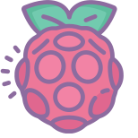 Raspberry Pi icon