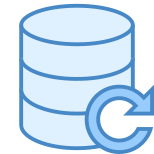 Data Backup icon