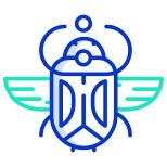 Beetle icon