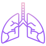 Lung icon