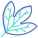 Sassafras Leaf icon