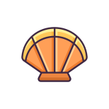 Clam icon