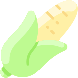 Corn icon