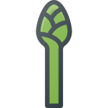 Asparagus icon