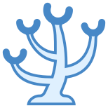 Coral icon