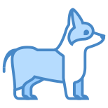 柯基犬 icon