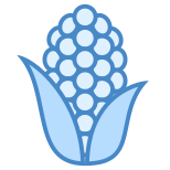 Corn icon