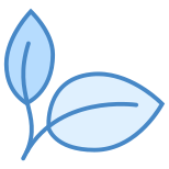 Natural Food icon