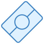 Passaporte biométrico icon