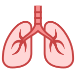 Lungs icon