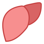 Liver icon