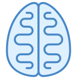 Brain icon