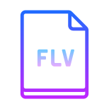 FLV icon