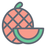 Cantaloupe icon