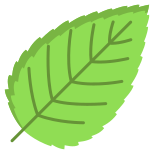 Hornbeam Leaf icon