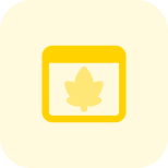 Maple leaf on isolated on a web browser icon