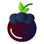 Mangosteen icon