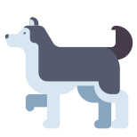 Chien icon