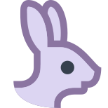 Year of Rabbit icon