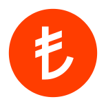 Turkish Lira icon