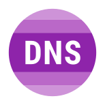 DNS icon