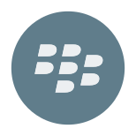 BlackBerry App World icon