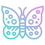 Schmetterling icon