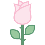 Rosa icon