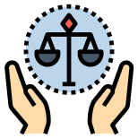 Constitution icon