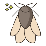 Bug icon