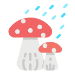 Funghi icon