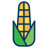 玉米 icon