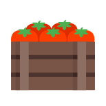 caixa de tomate icon