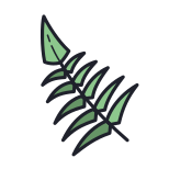 シダの葉 icon