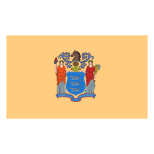New Jersey Flag icon