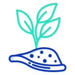 阳光下的植物 icon