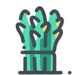 Asparagus icon