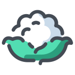 Blumenkohl icon