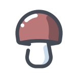 牛肝菌Mashroom icon