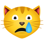 gato chorando icon