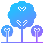 Trees icon