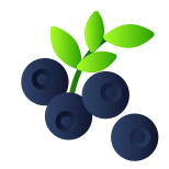 Blueberry icon