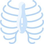 Ribs icon