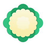 Cauliflower icon