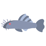Ancistrus Fish icon