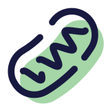 mitochondries icon