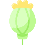 Opium icon