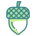 Acorn icon