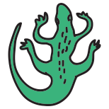Alligatore icon