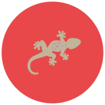 Salamandra icon